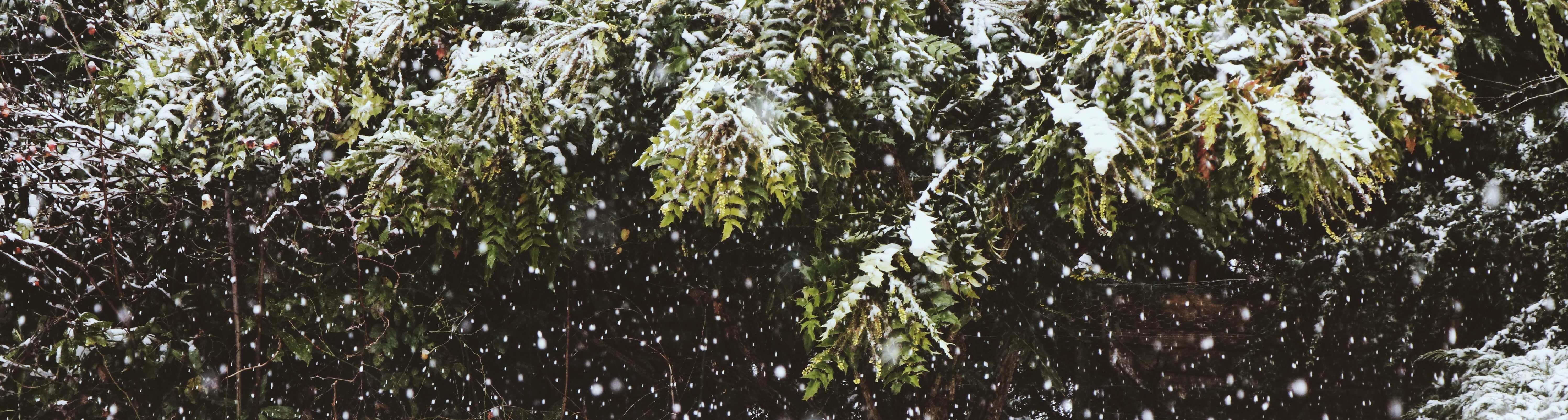 Pocono Winter Activities