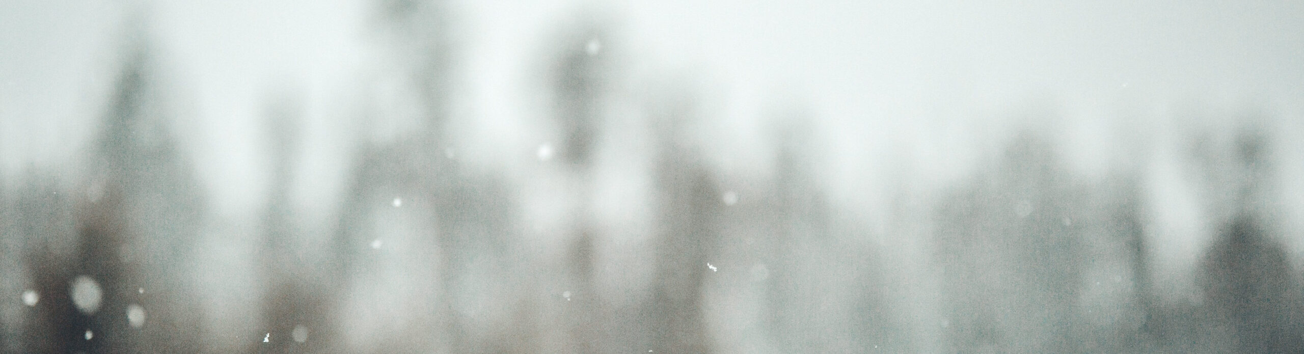 Beautiful Poconos snow