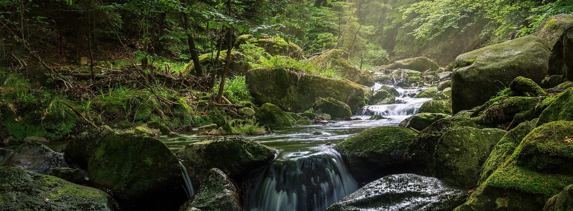 Promised Land State Park