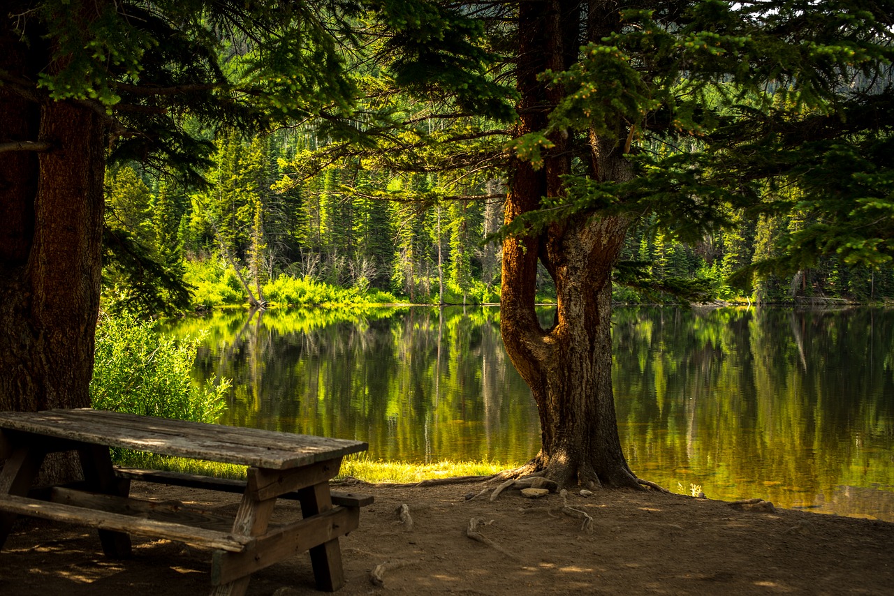 childs park bench