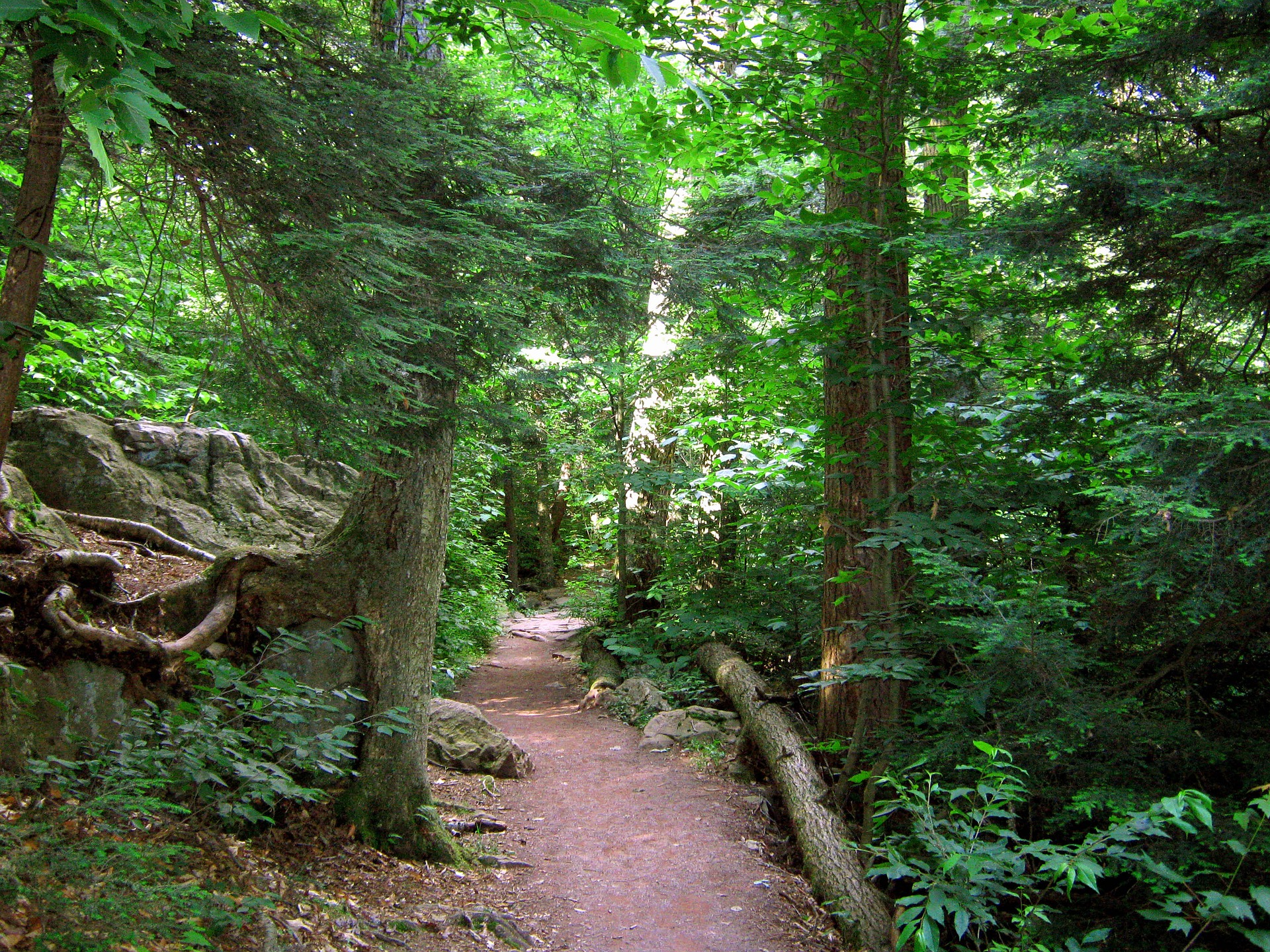 Beautiful wilderness at the PEEC