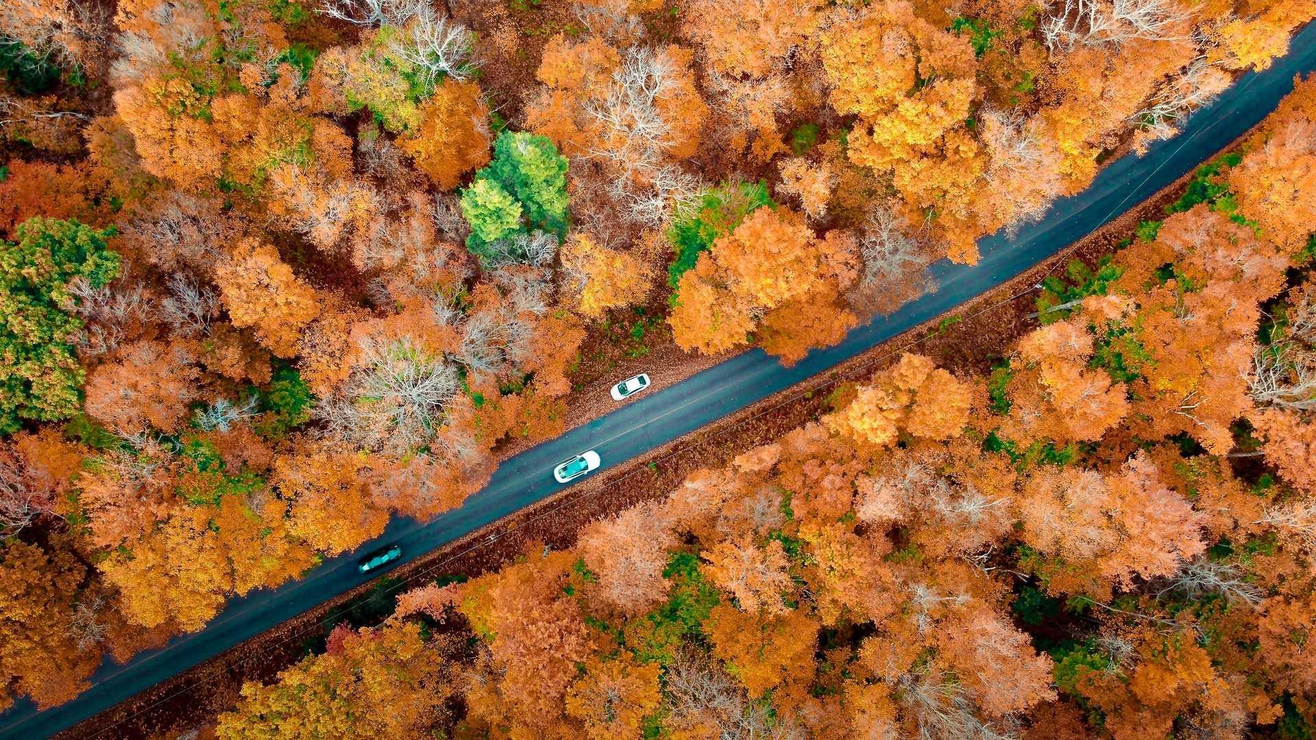 cars driving down highway in fall