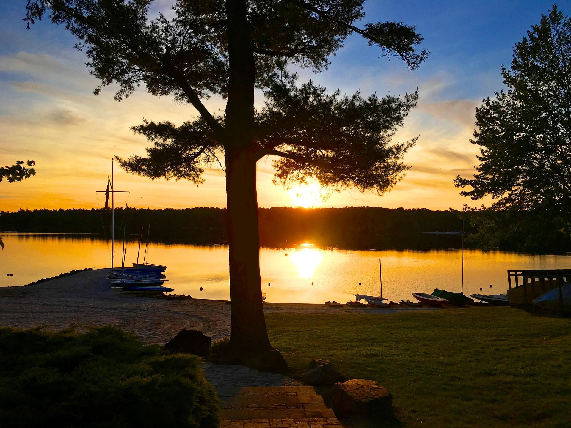 sunset on lake with trees