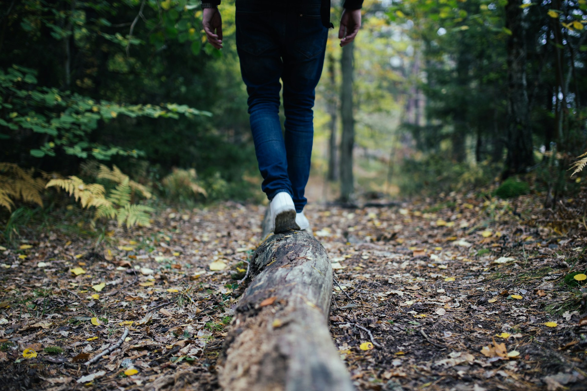 Person walking on fallen log