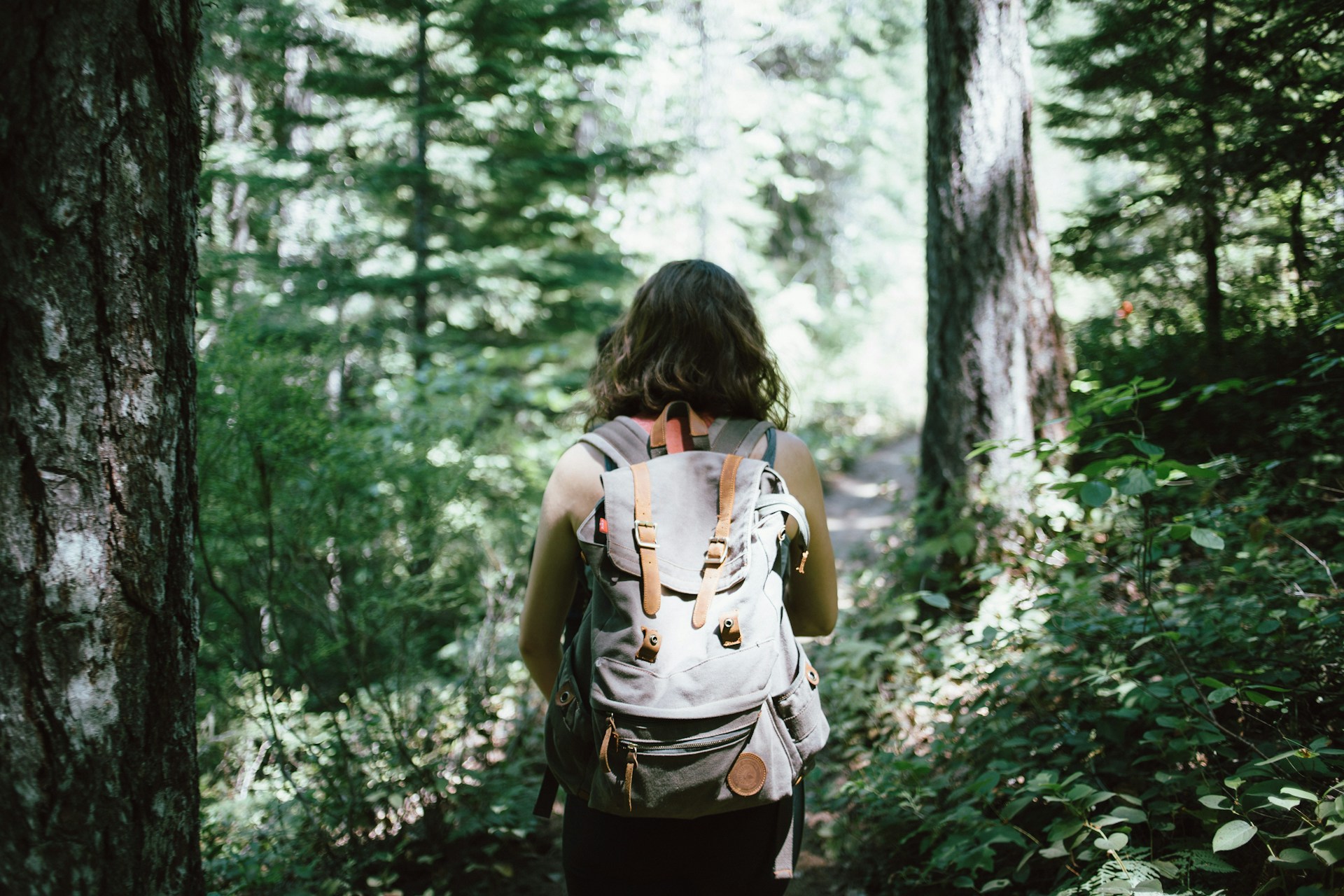 Person hiking in woods with backpack