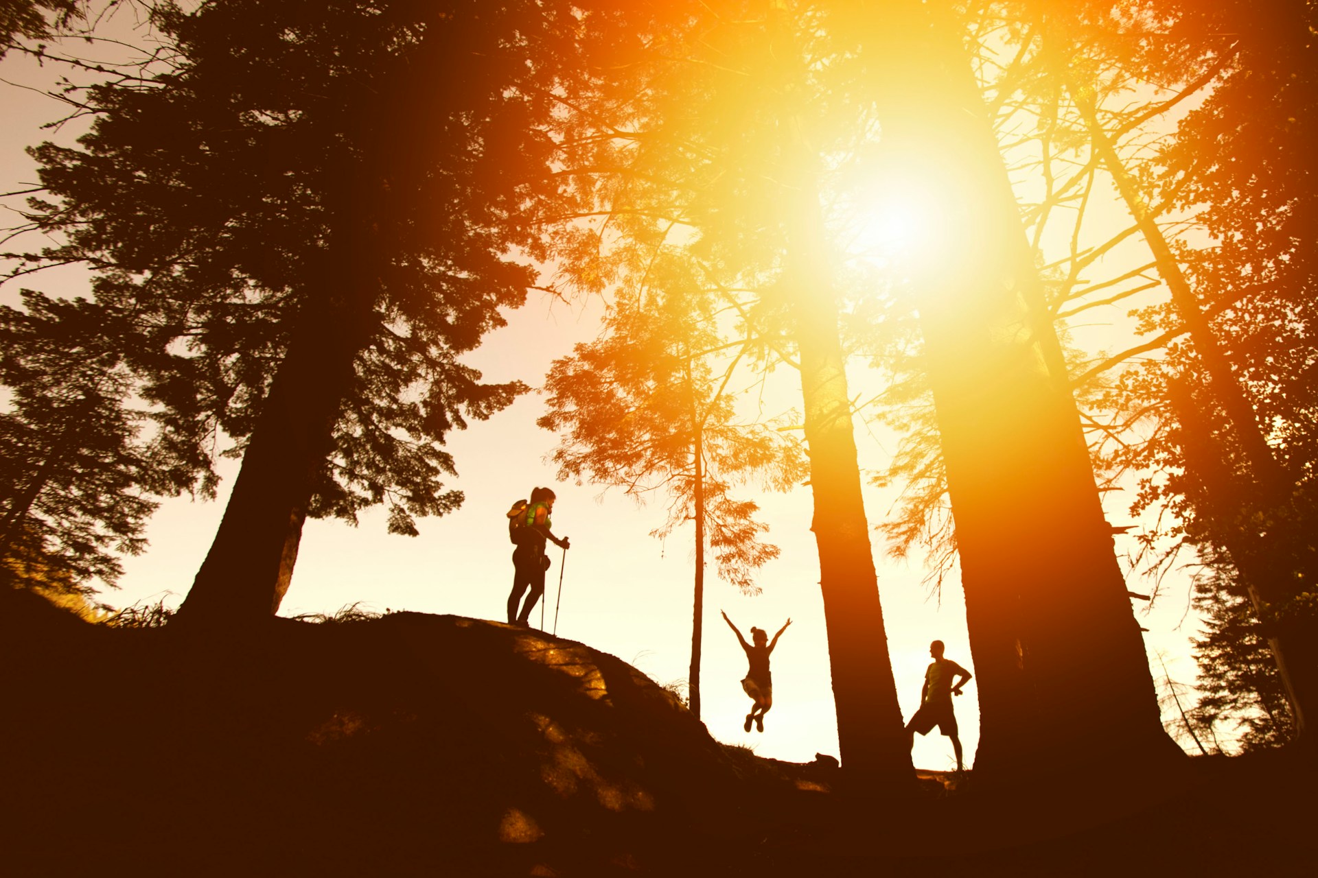 A family hiking in the woods