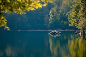 A rock floating - lakefront getaways at Lake Harmony