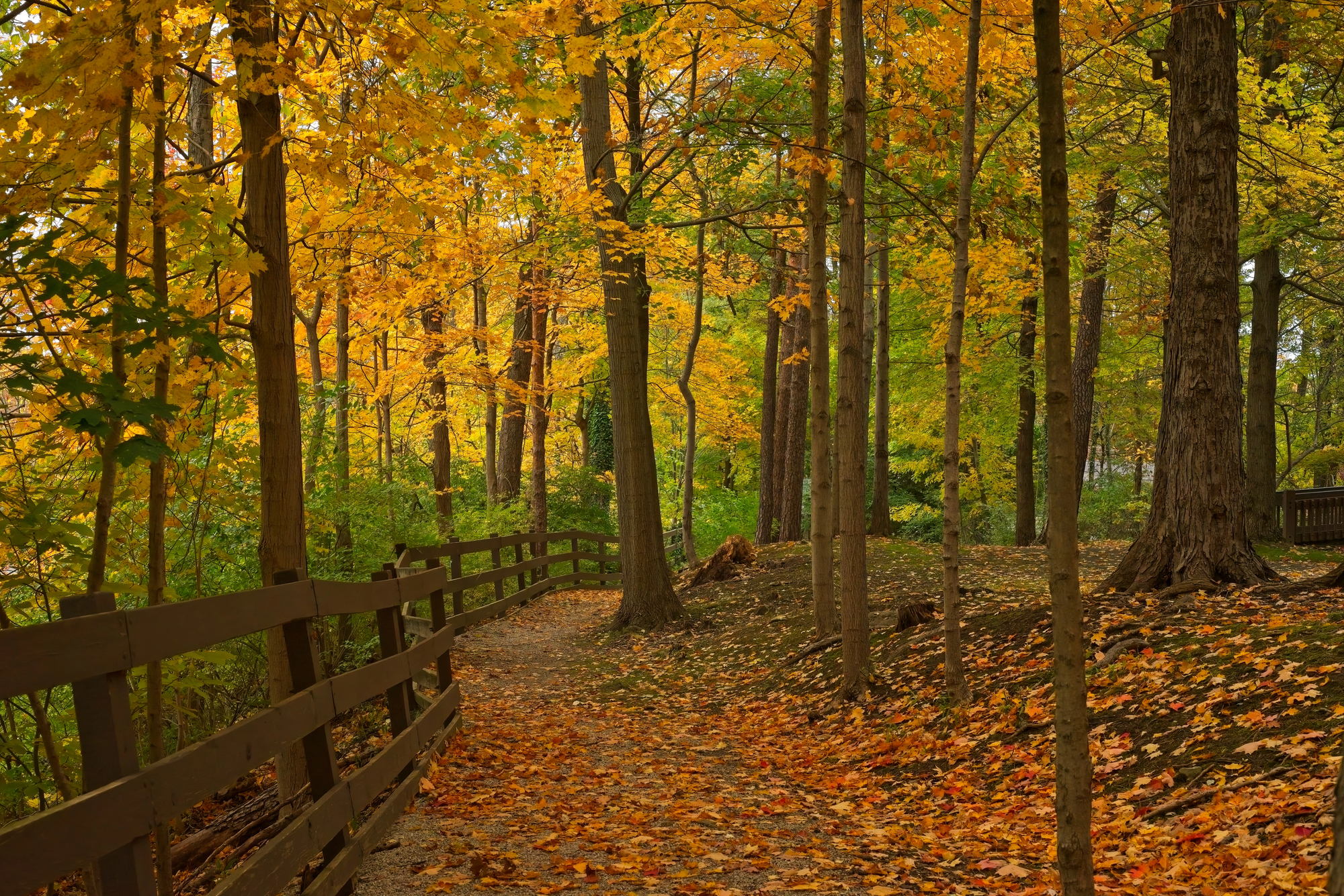 Why September and October Are the Best-Kept Secret for a Pocono Mountain Getaway