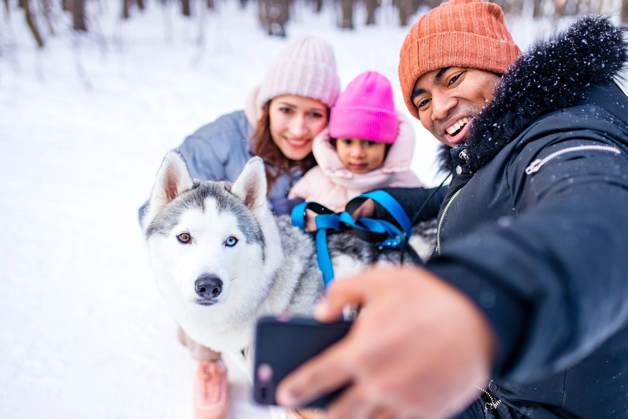 Pet-Friendly Pocono Rentals for Large Groups: A Winter Guide